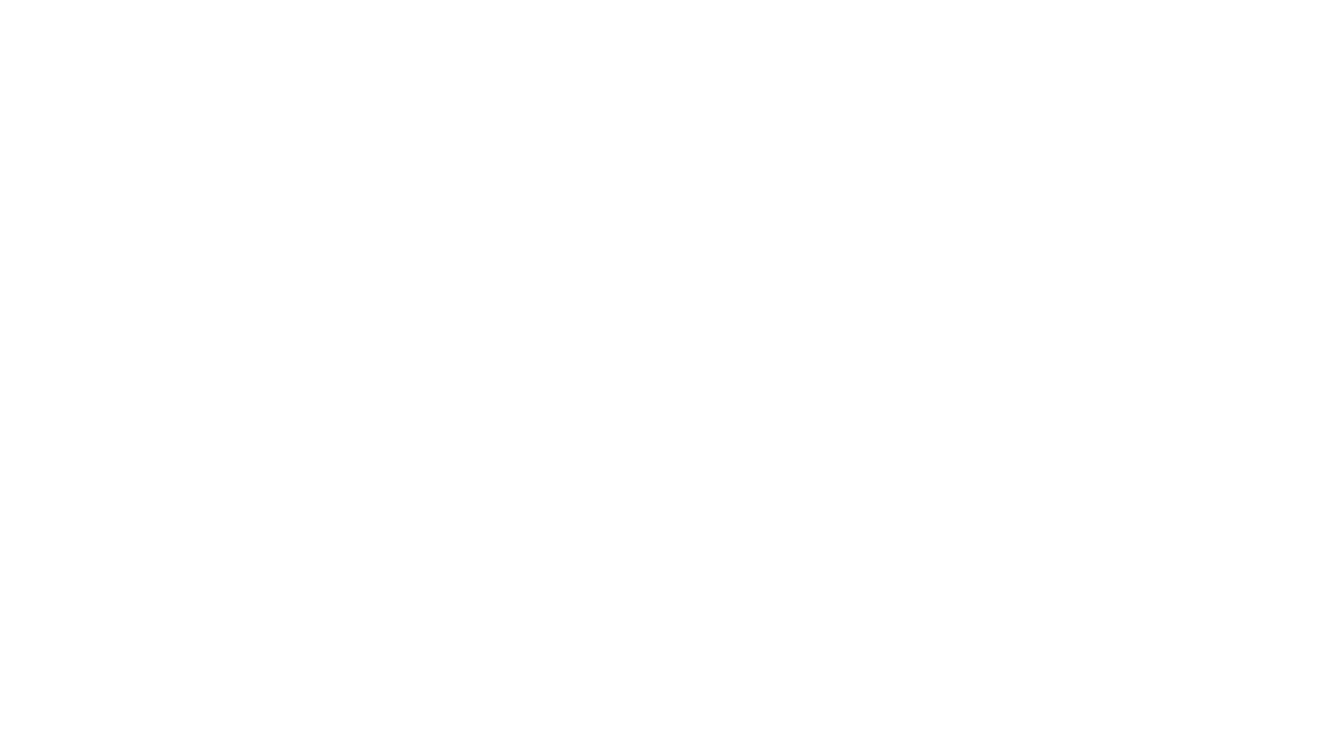 A green background with the word barracuda written in white.